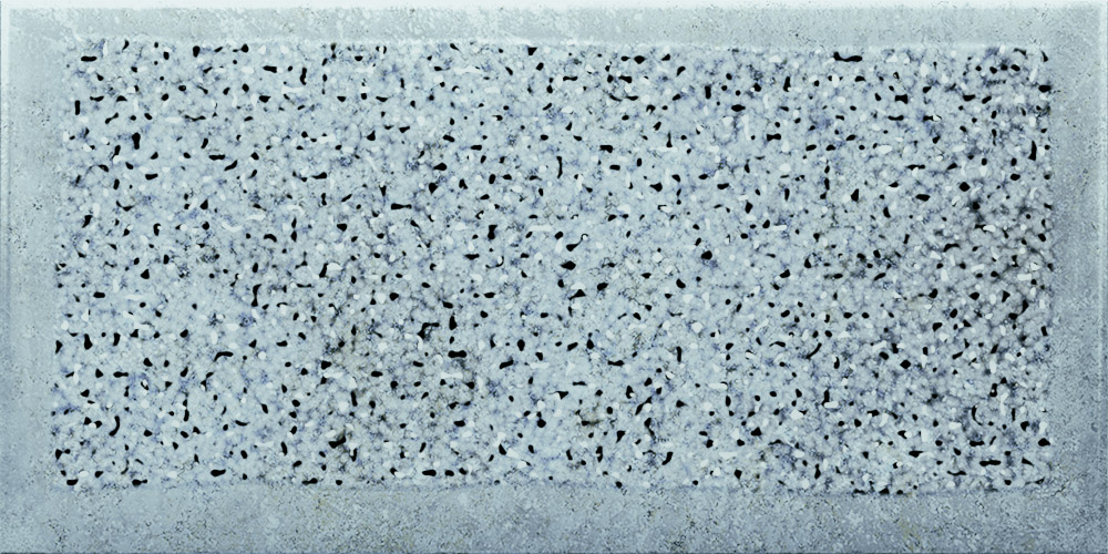 10-LYNX AQUA 10X20 (4)