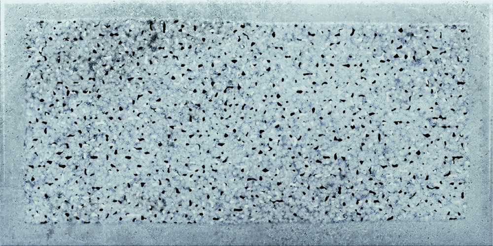 8-LYNX AQUA 10X20 (5)