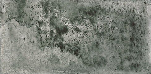 DREAMS_GREY_6-25X12-5_A041017_41