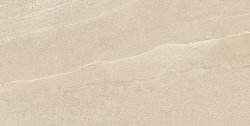 0172500020207_0_EDDYSTONARENA60X120-1
