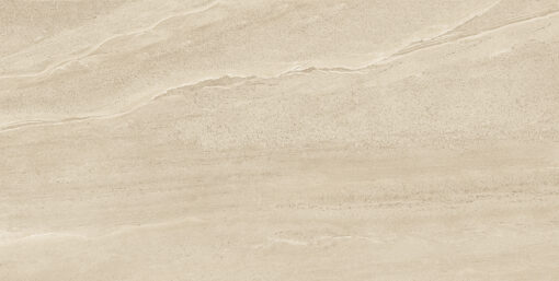 0172500020207_2_EDDYSTONARENA60X120-3