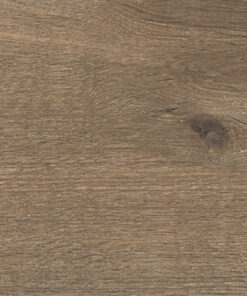 GẠCH Ý LINFA TORTORA